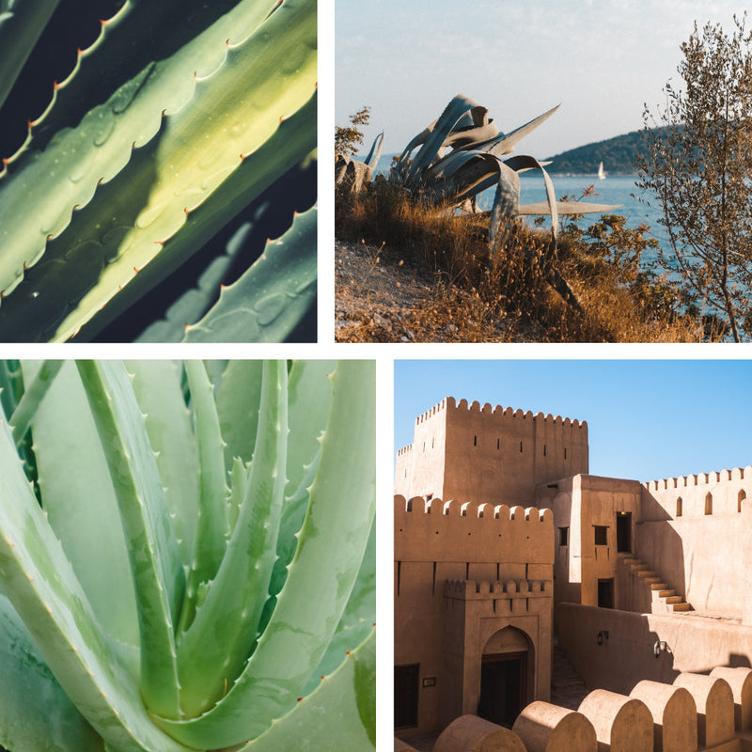 BETTER BY LESS Handseife Pulver - Aloe Kick - 0